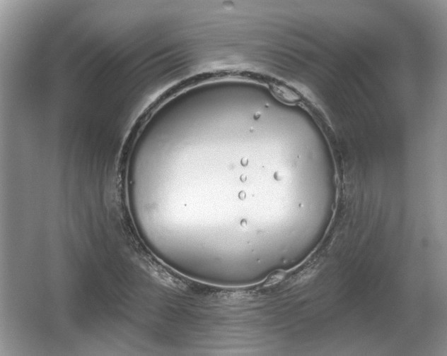 X0000067330879200604071322