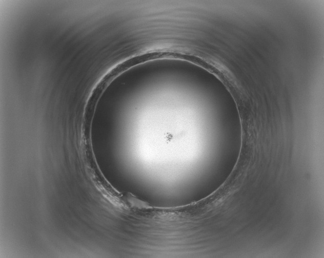 X0000067330880200604071322