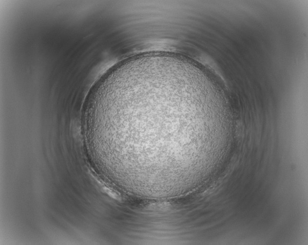 X0000067330882200604071322