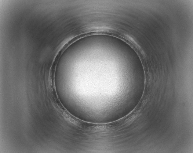 X0000067330883200604071322