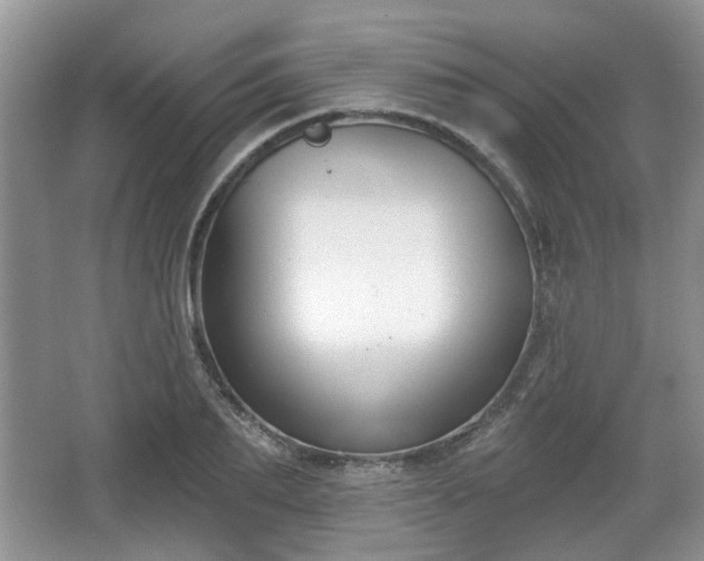 X0000067330887200604071322