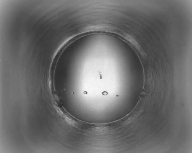 X0000067330888200604071322