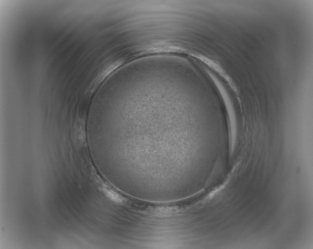 X0000067330889200604071322