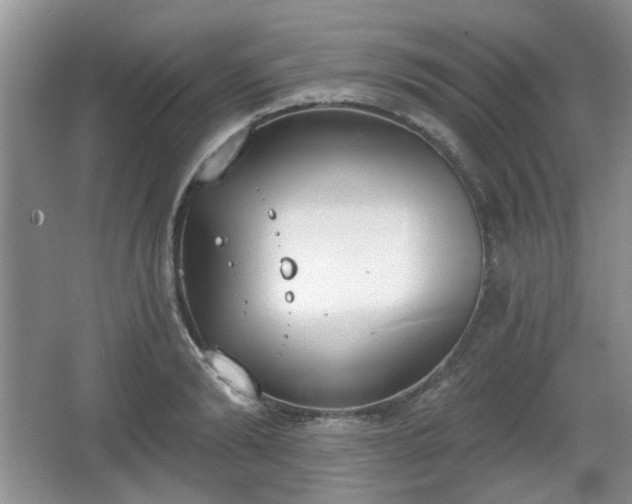 X0000067330894200604071322