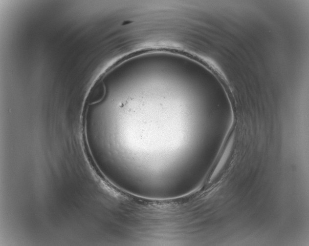 X0000067330895200604071322