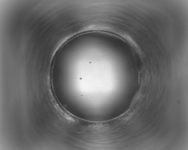 X0000067330896200604071322