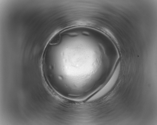 X0000067330899200604071322