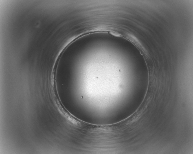 X0000067330900200604071322