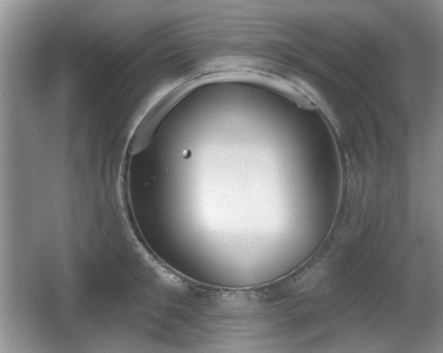 X0000067330901200604071322