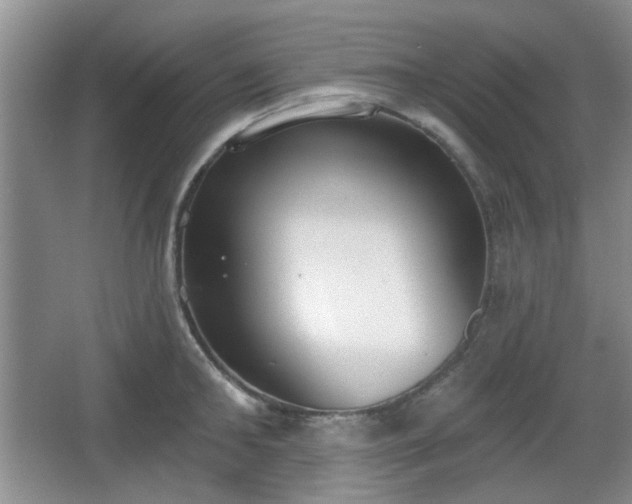 X0000067330902200604071322