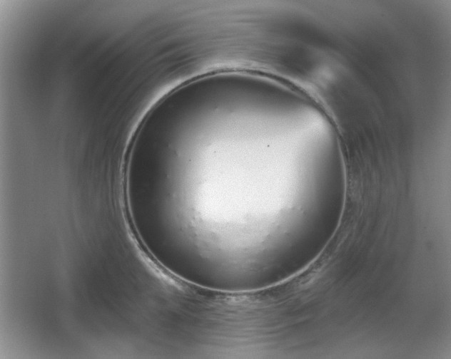 X0000067330903200604071322