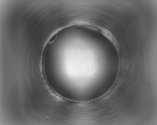 X0000067330904200604071322