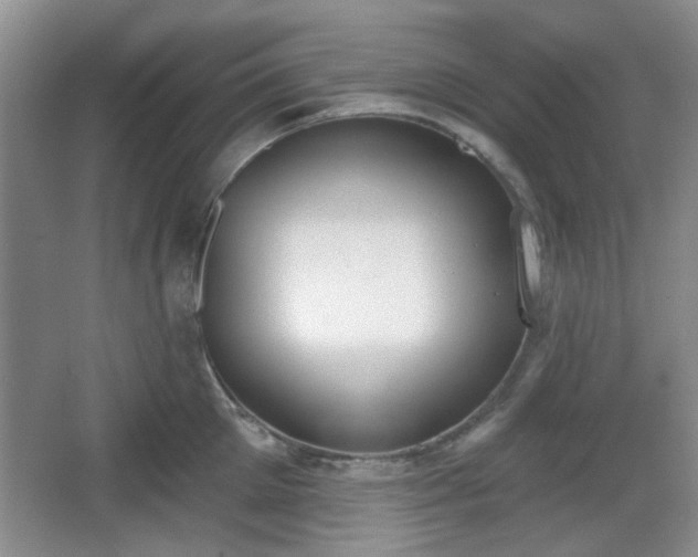 X0000067330905200604071322