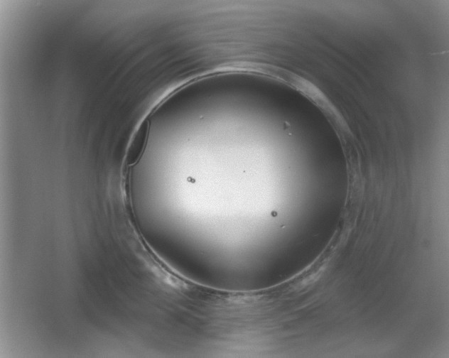 X0000067330908200604071322