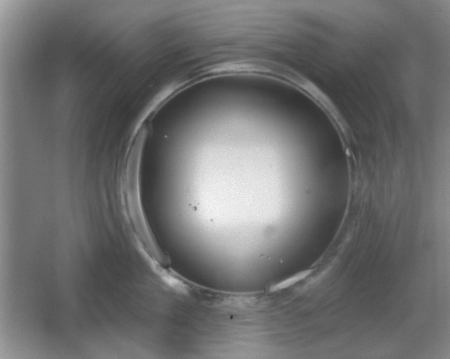 X0000067330909200604071322