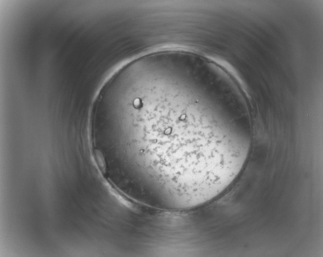 X0000067330910200604071322