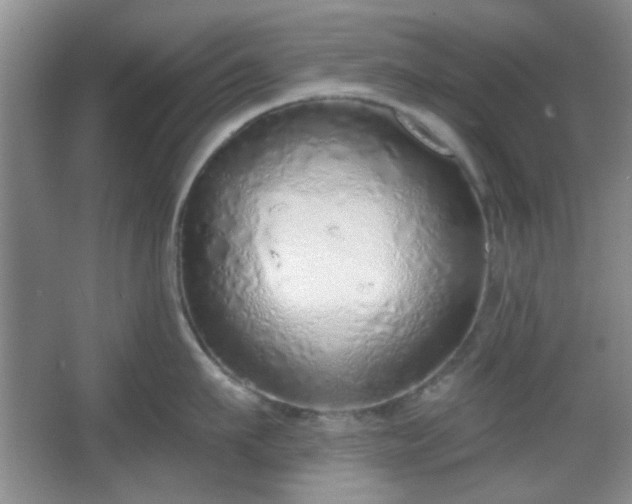 X0000067330911200604071322