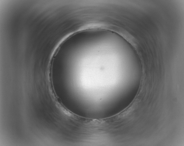 X0000067330912200604071322