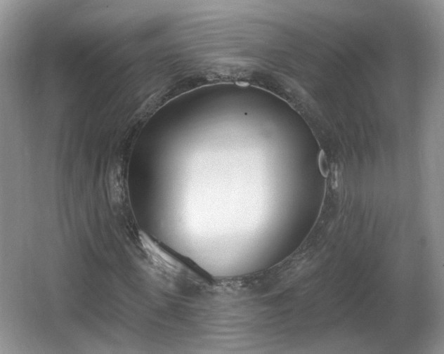 X0000067330915200604071321