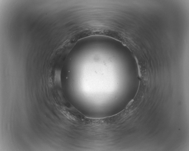 X0000067330916200604071321