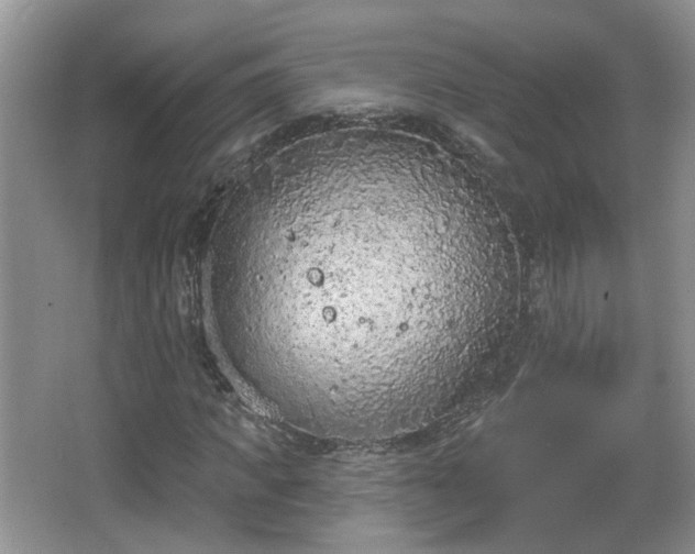 X0000067330917200604071321