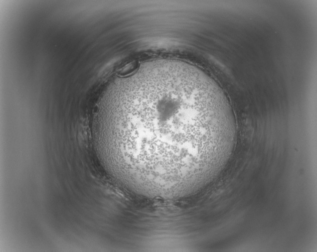 X0000067330918200604071321