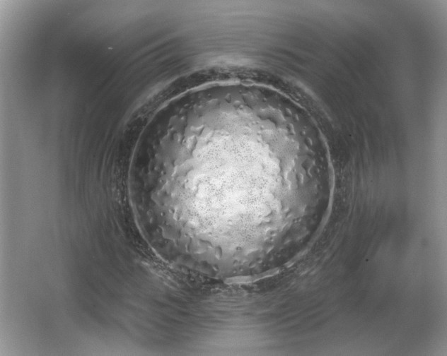 X0000067330919200604071321