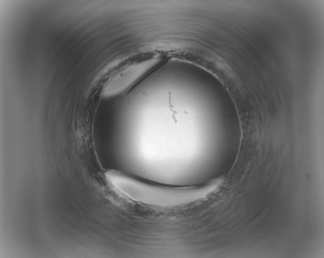 X0000067330920200604071321