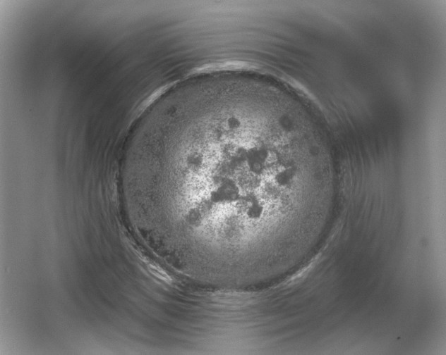 X0000067330921200604071321