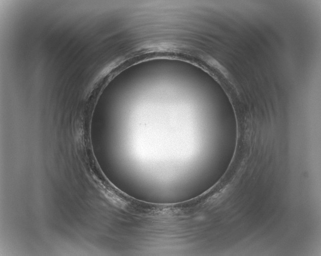 X0000067330922200604071321