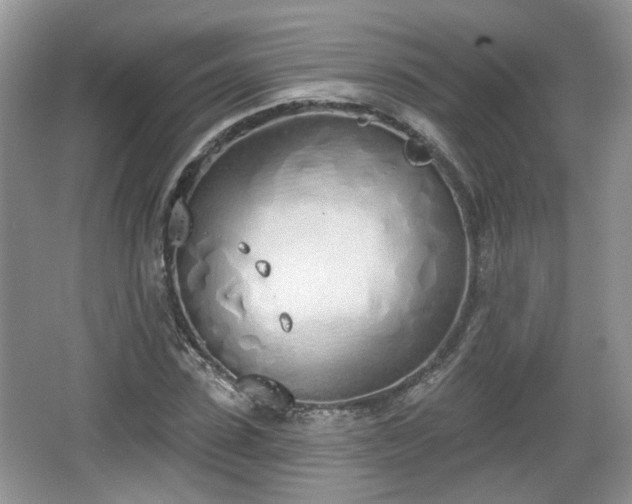 X0000067330923200604071321