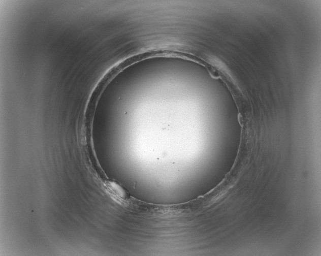 X0000067330924200604071321