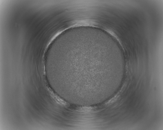 X0000067330925200604071321