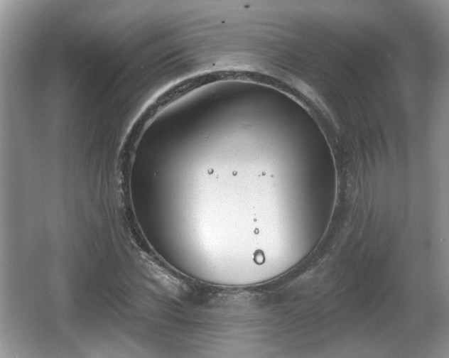 X0000067330926200604071321