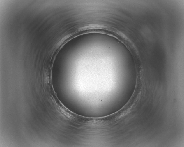 X0000067330929200604071321