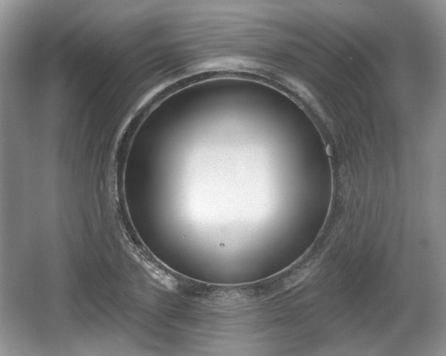 X0000067330931200604071321