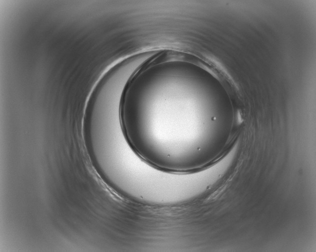 X0000067330932200604071321