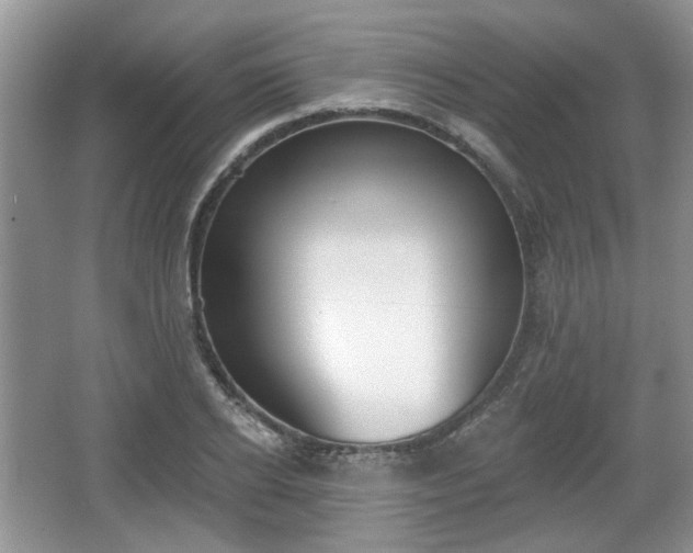 X0000067330934200604071321