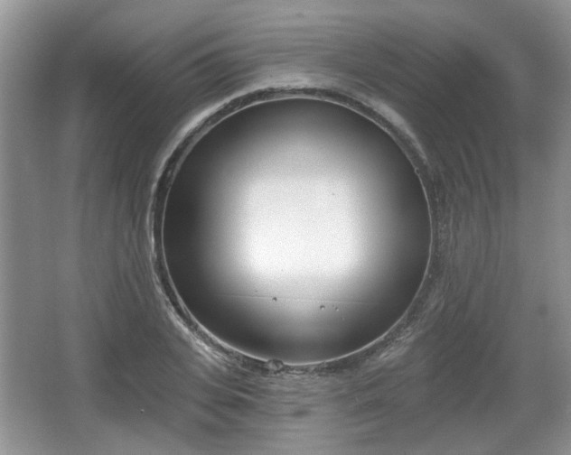 X0000067330935200604071321