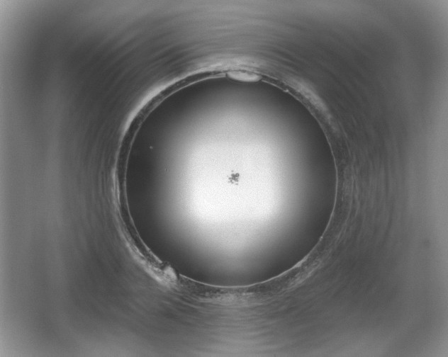 X0000067330936200604071321