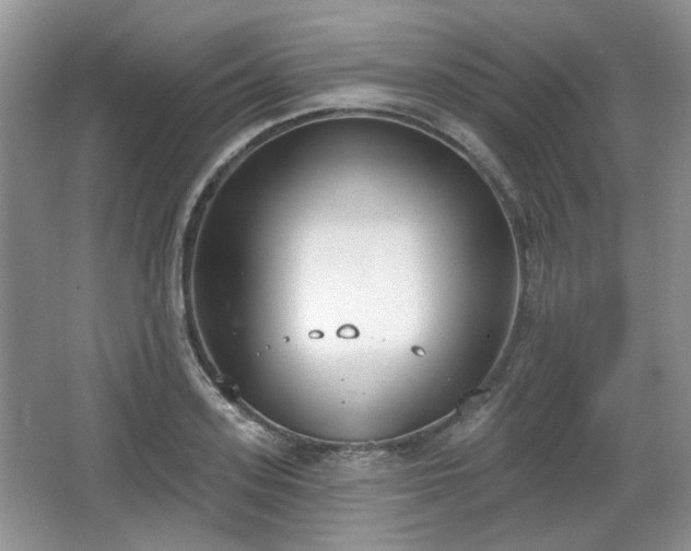 X0000067330939200604071321