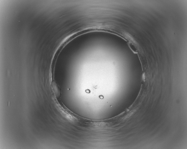 X0000067330940200604071321