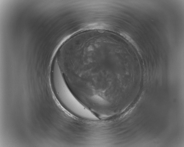 X0000067330941200604071321