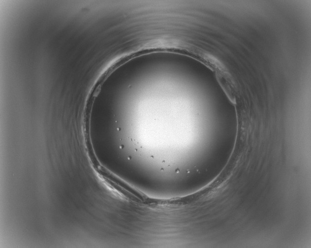 X0000067330942200604071321