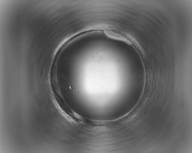 X0000067330944200604071322