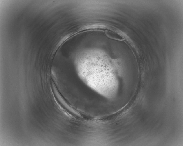 X0000067330945200604071322