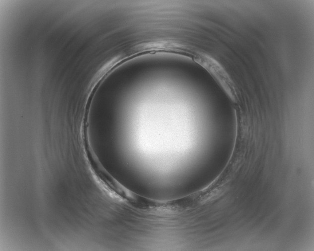 X0000067330946200604071322