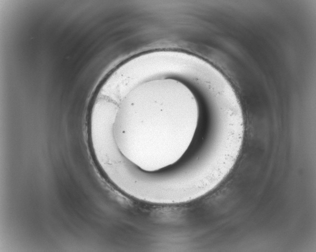 X0000067330950200604071322