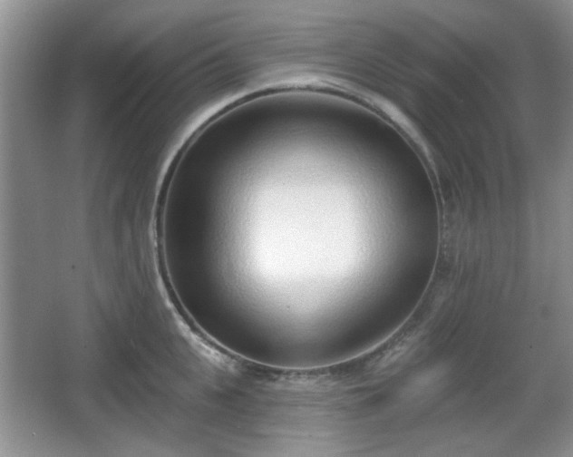 X0000067330951200604071322