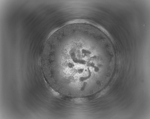 X0000067330953200604071322